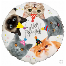  К 18" РУС ДР Котики фотографичные